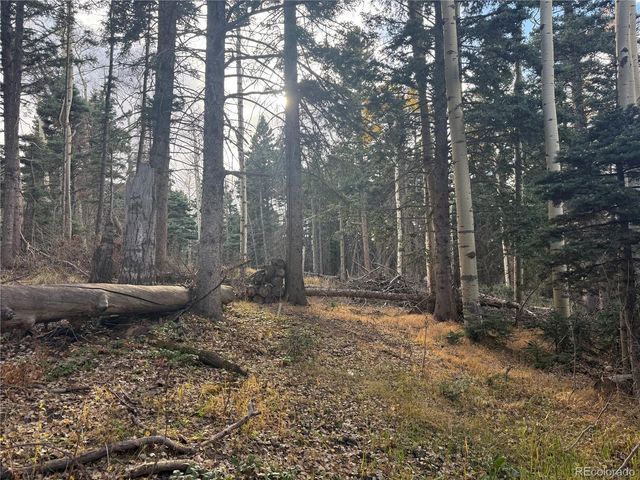 2662 Petito Drive, Fort Garland, CO 81133