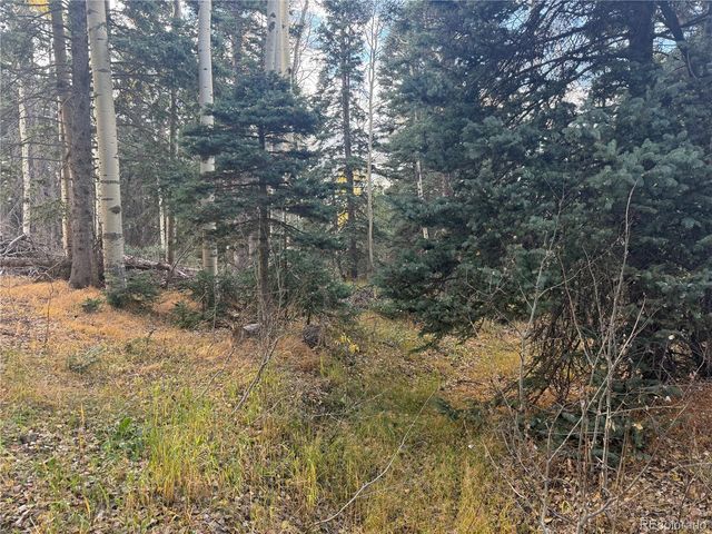 2662 Petito Drive, Fort Garland, CO 81133