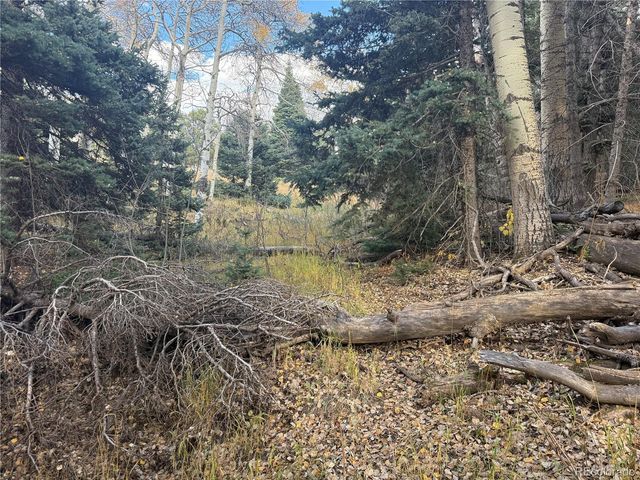 2662 Petito Drive, Fort Garland, CO 81133