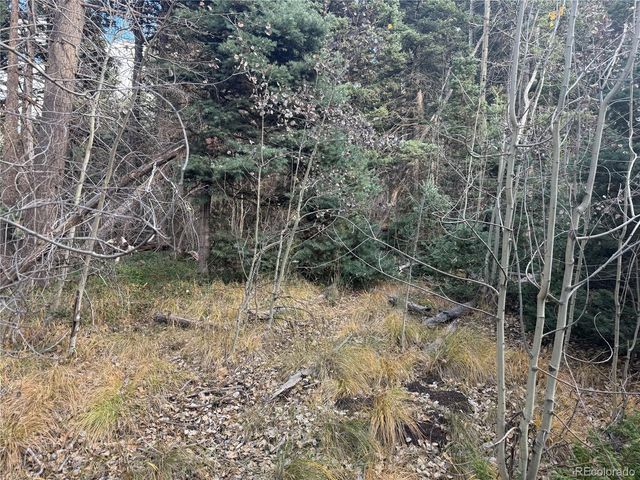 2662 Petito Drive, Fort Garland, CO 81133