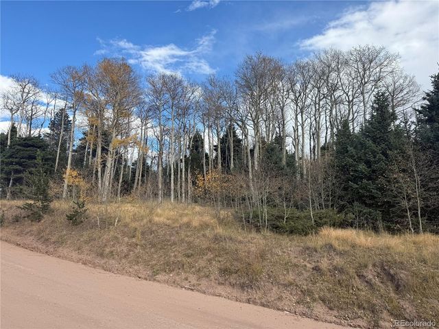 2662 Petito Drive, Fort Garland, CO 81133