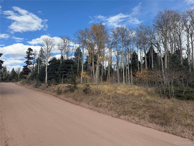 2662 Petito Drive, Fort Garland, CO 81133