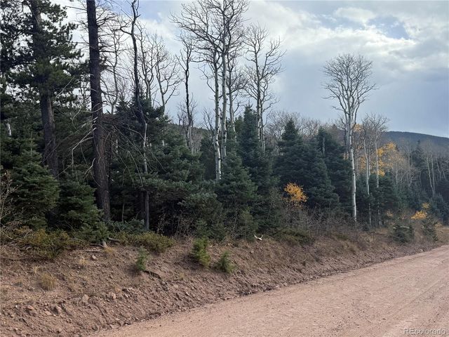 2662 Petito Drive, Fort Garland, CO 81133