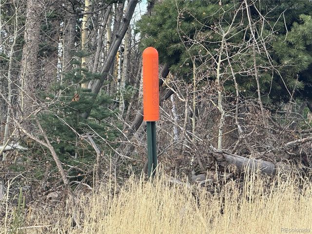 2662 Petito Drive, Fort Garland, CO 81133