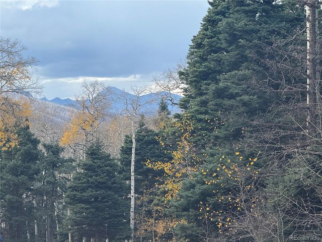 2662 Petito Drive, Fort Garland, CO 81133