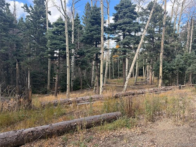 2662 Petito Drive, Fort Garland, CO 81133