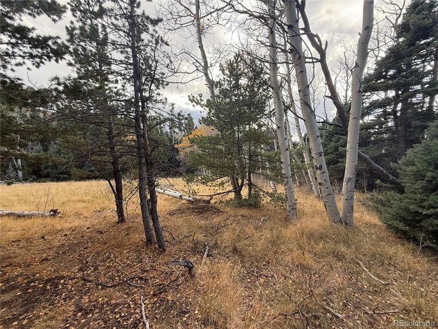 2662 Petito Drive, Fort Garland, CO 81133