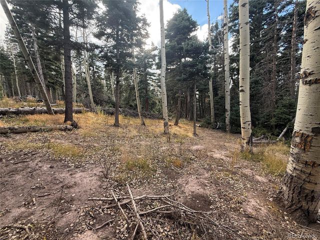 2662 Petito Drive, Fort Garland, CO 81133