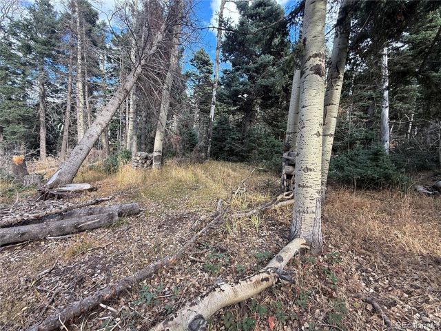 2662 Petito Drive, Fort Garland, CO 81133