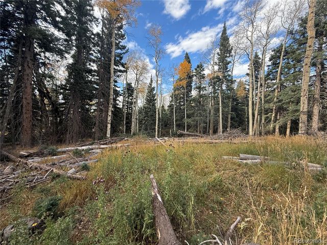 2662 Petito Drive, Fort Garland, CO 81133