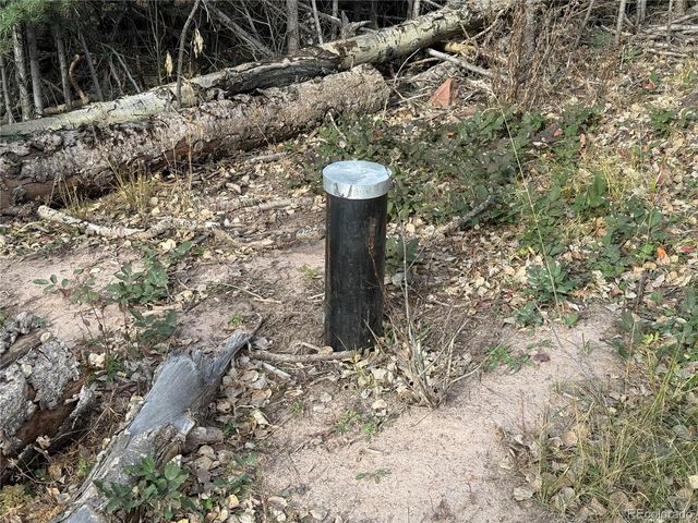 2662 Petito Drive, Fort Garland, CO 81133