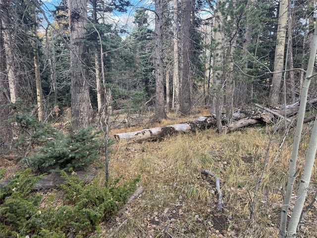 2662 Petito Drive, Fort Garland, CO 81133