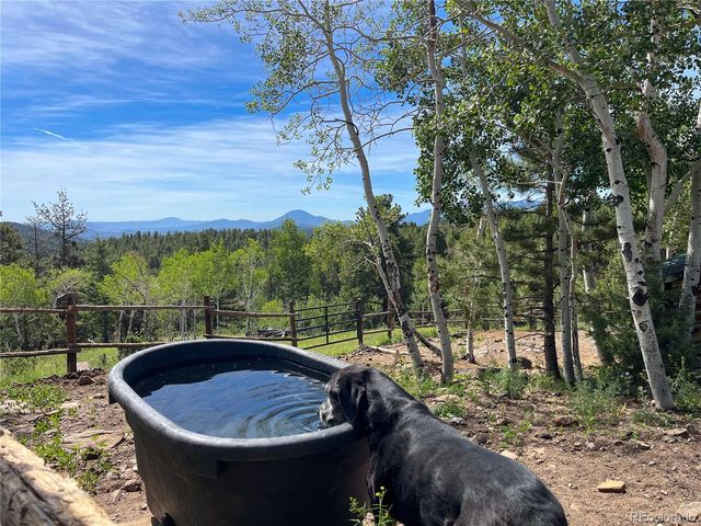 150 Summit Drive, Bailey, CO 80421