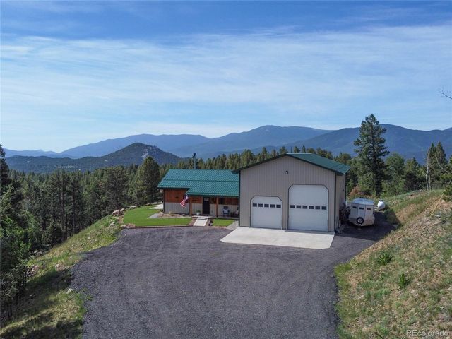 150 Summit Drive, Bailey, CO 80421