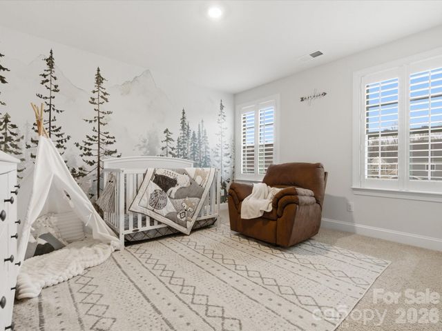2204 Skybrook Oaks Drive, Huntersville, NC 28078
