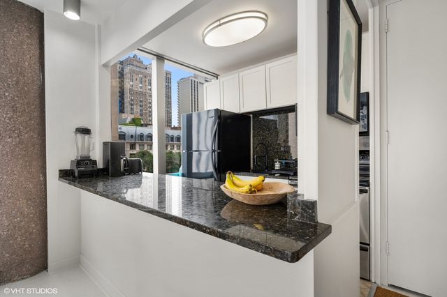 1300 N Astor Street 8B, Chicago, IL 60610