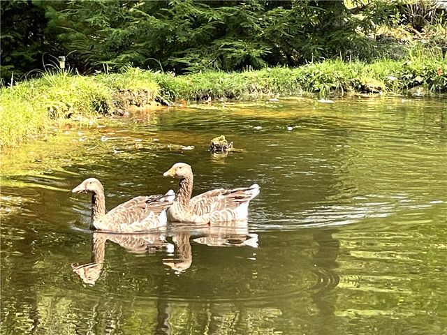 190 Sara Lane, Kennerdell, PA 16374