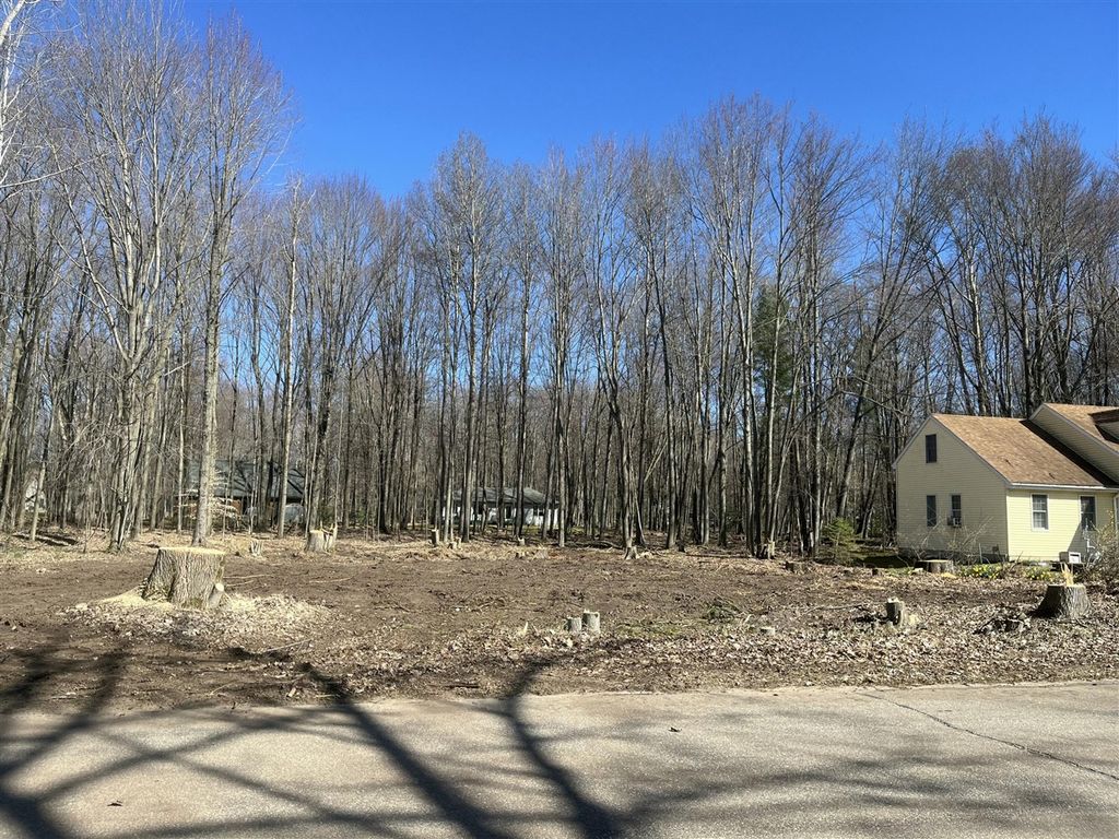 6754 Club House Drive, Stanwood, MI 49346