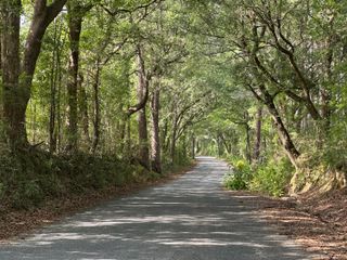 185.19 AC Old River Road, Baker, FL 32531