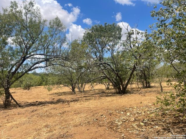 9805 Elmendorf LaVernia Rd, San Antonio, TX 78223