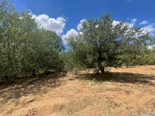 9805 Elmendorf LaVernia Rd, San Antonio, TX 78223