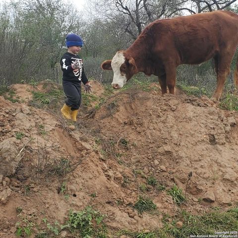 9805 Elmendorf LaVernia Rd, San Antonio, TX 78223