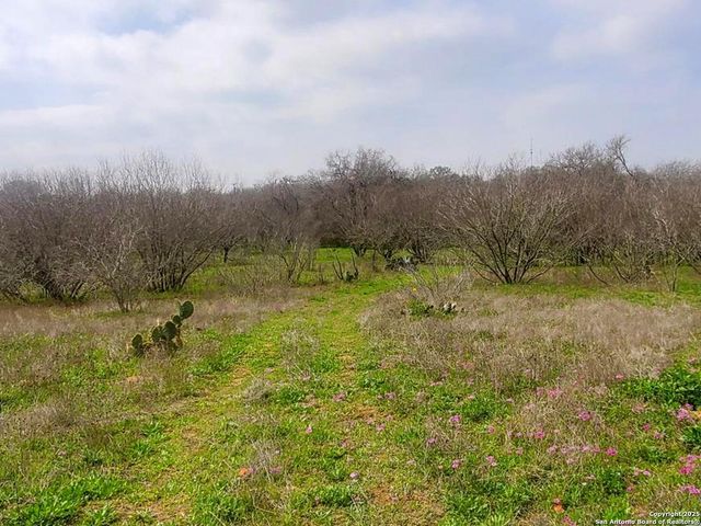 9805 Elmendorf LaVernia Rd, San Antonio, TX 78223