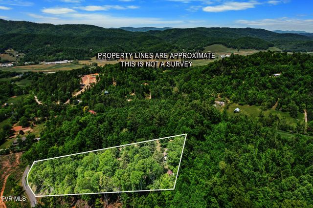 929 Noah Snyder Road, Mountain City, TN 37683