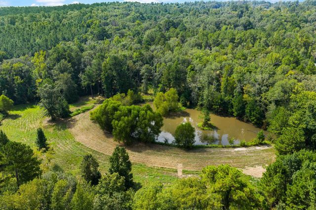 17315 FM 2089, Overton, TX 75684