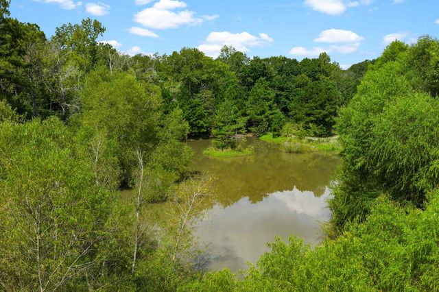 17315 FM 2089, Overton, TX 75684