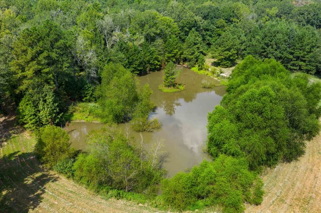 17315 FM 2089, Overton, TX 75684