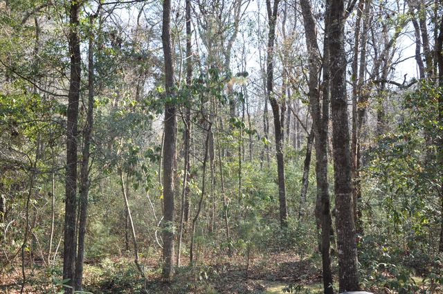 6321 Bears Bluff Road, Wadmalaw Island, SC 29487