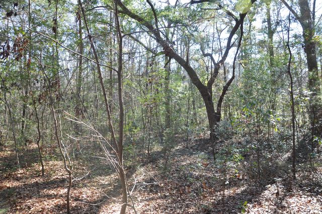 6321 Bears Bluff Road, Wadmalaw Island, SC 29487