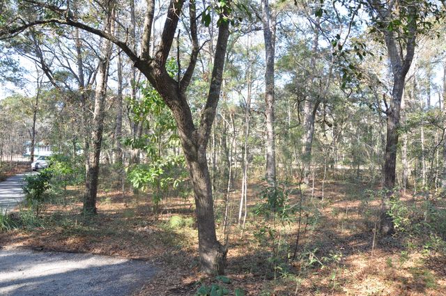 6321 Bears Bluff Road, Wadmalaw Island, SC 29487