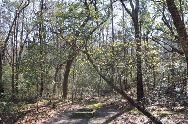 6321 Bears Bluff Road, Wadmalaw Island, SC 29487