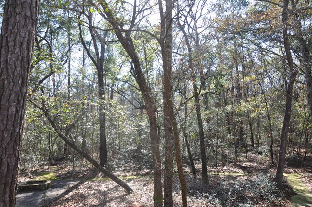 6321 Bears Bluff Road, Wadmalaw Island, SC 29487