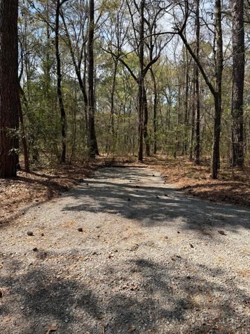 6321 Bears Bluff Road, Wadmalaw Island, SC 29487