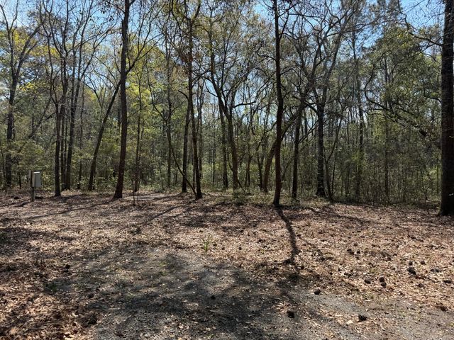 6321 Bears Bluff Road, Wadmalaw Island, SC 29487