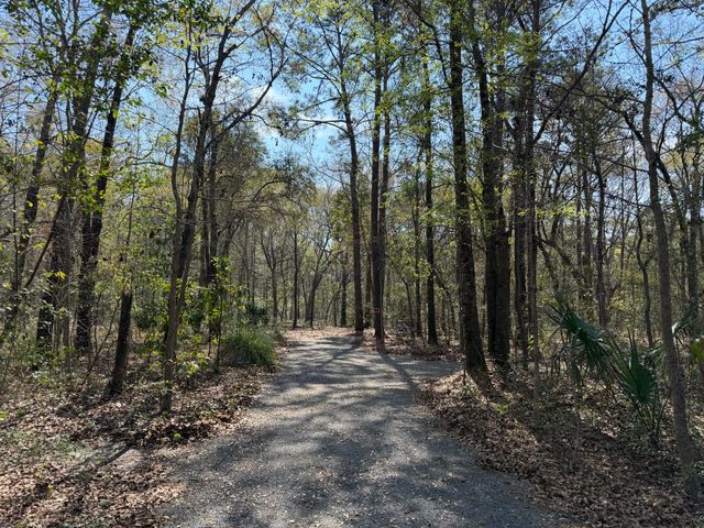 6321 Bears Bluff Road, Wadmalaw Island, SC 29487