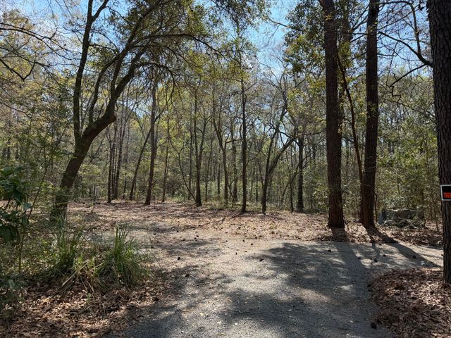 6321 Bears Bluff Road, Wadmalaw Island, SC 29487