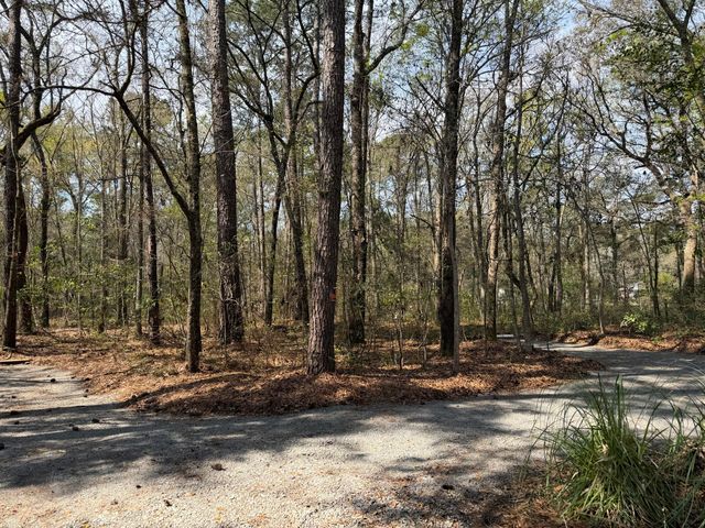 6321 Bears Bluff Road, Wadmalaw Island, SC 29487