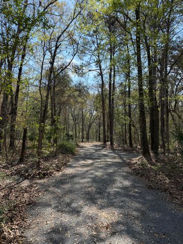 6321 Bears Bluff Road, Wadmalaw Island, SC 29487