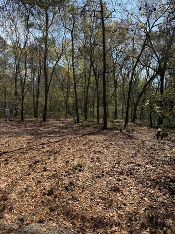 6321 Bears Bluff Road, Wadmalaw Island, SC 29487