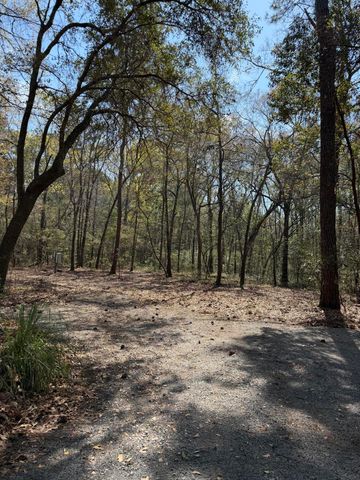 6321 Bears Bluff Road, Wadmalaw Island, SC 29487