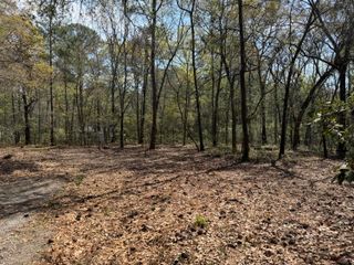 6321 Bears Bluff Road, Wadmalaw Island, SC 29487