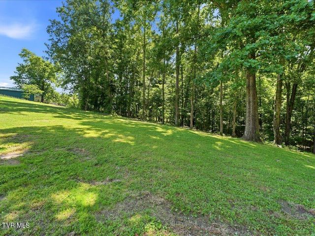 1514 Pleasant View Drive, Talbott, TN 37877