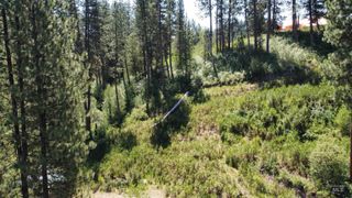 TBD Beaver Creek Rd, Lot9, Idaho City, ID 83716