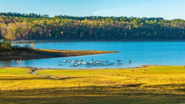 49 Bennet Cove Road, Kirby, AR 71950