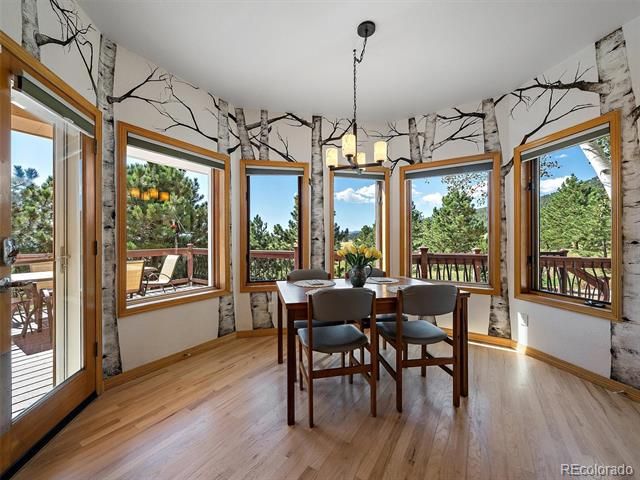 1584 Bierstadt Court, Evergreen, CO 80439