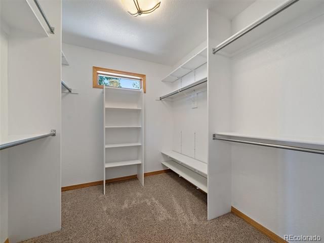 1584 Bierstadt Court, Evergreen, CO 80439
